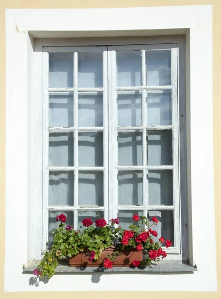 Fenster mit Blumen — Stockfoto