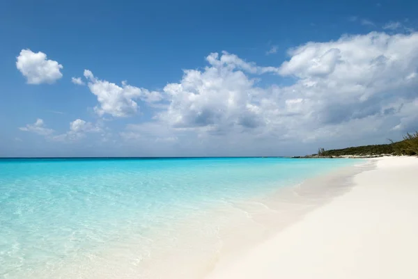 Karibiska wild beach — Stockfoto