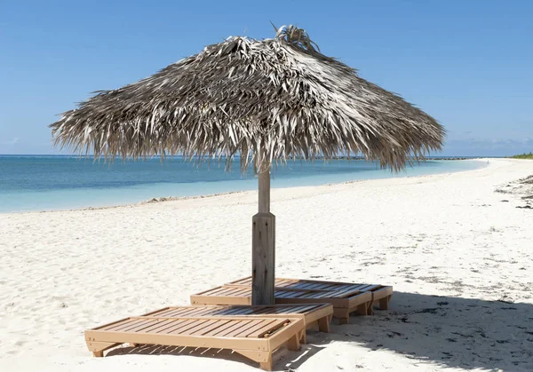 Grand Bahama Umbrellas — Stock Photo, Image