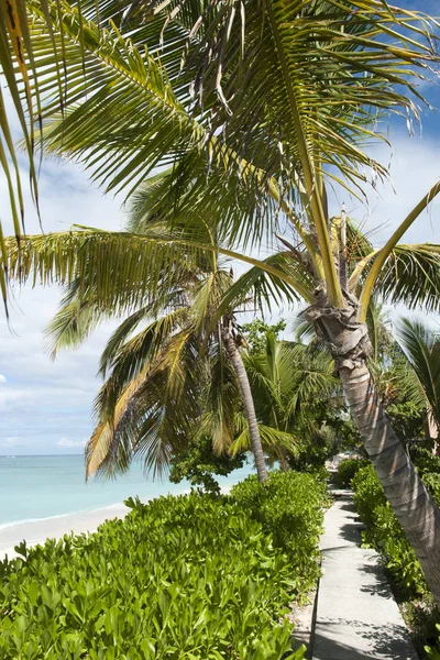 Grand Turk Town Beach – stockfoto