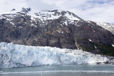 Glacier Bay manzara