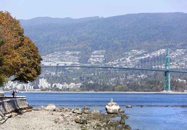 Parque Stanley de Vancouver — Fotografia de Stock