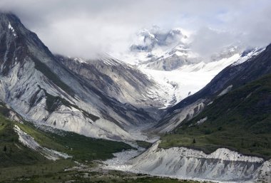 Alaska'nın Glacier Bay manzara
