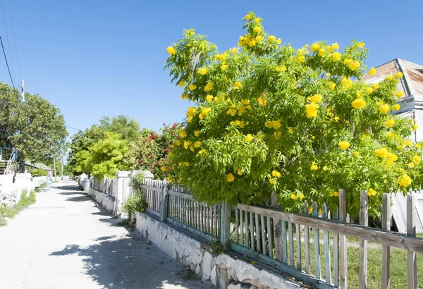 Grand Turk Cockburn Stadt Straße — Stockfoto