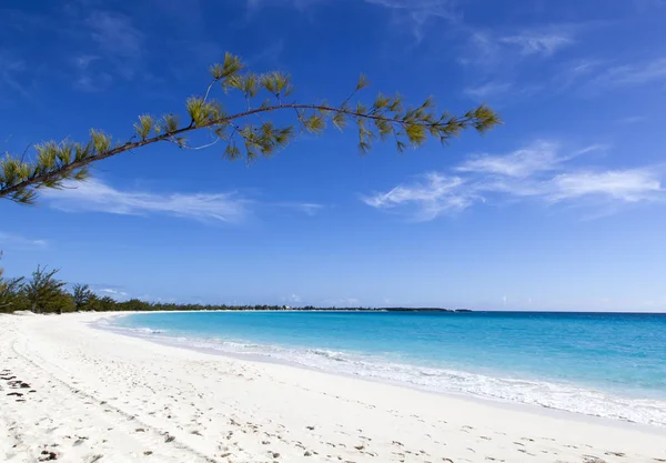Καραϊβική νησί άδειο παραλία — Φωτογραφία Αρχείου