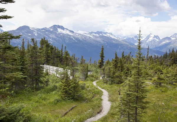 Alaska'nın yaz yollar — Stok fotoğraf