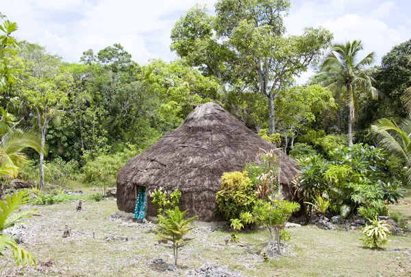 Традиционная хижина Новой Каледонии — стоковое фото