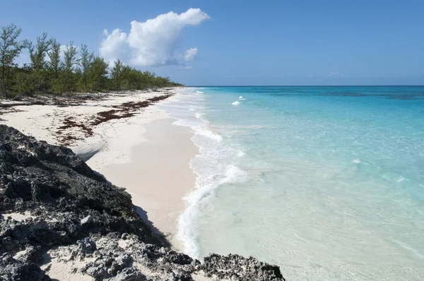 Spiaggia caraibica vuota — Foto Stock