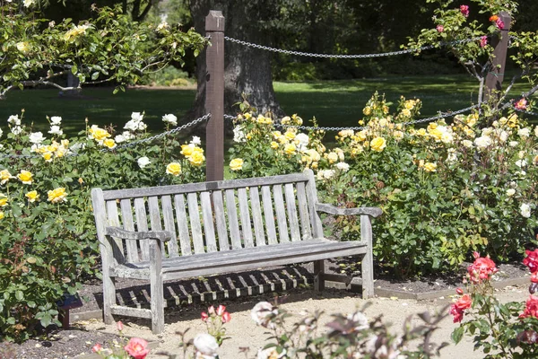 Dunedin Botanická zahrada lavička — Stock fotografie