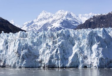 Alaska'nın Glacier Bay bakış