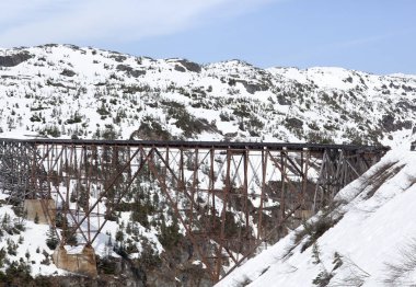 Alaska'da terkedilmiş köprü