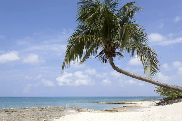 Grand Cayman eiland strand — Stockfoto