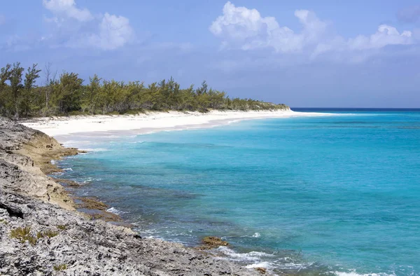 Côte de l'île des Caraïbes — Photo