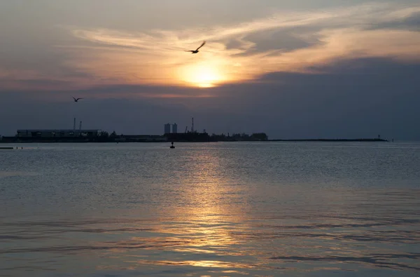 Sonnenuntergang mit Möwen über dem Hafen von Nassau — Stockfoto