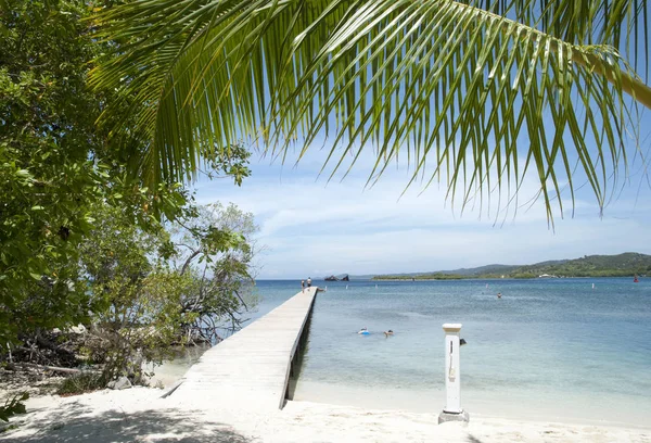 Isla de Roatan Playa de Mahogany Bay —  Fotos de Stock