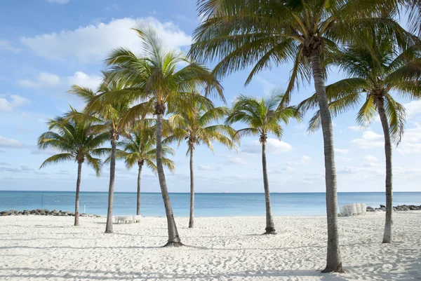 Wielka Wyspa Bahama Plaża Lucaya — Zdjęcie stockowe