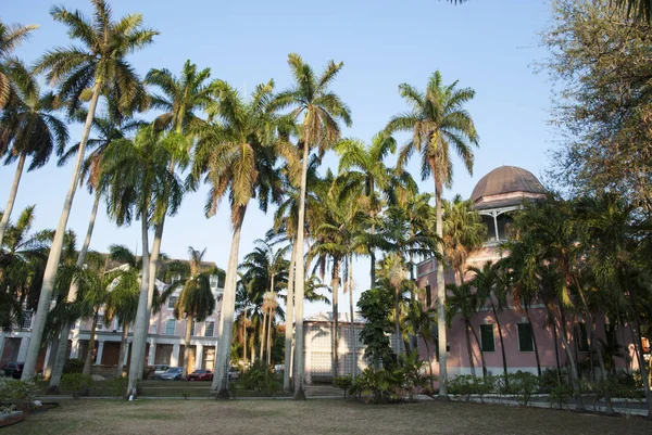 Biblioteca pubblica di Nassau e palme — Foto Stock