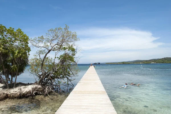 Nurkowanie Plaży Mahogany Bay Roatan Island Honduras — Zdjęcie stockowe