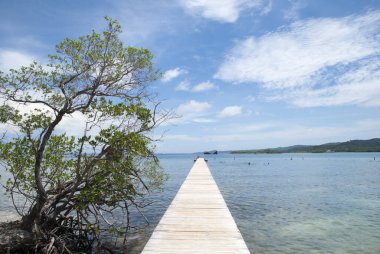 Roatan Adası 'ndaki Mahogany Körfezi Sahili' ndeki (Honduras) ahşap iskele manzarası.).