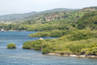Uzak bir arka planda bir havaalanı ile tropik bereketli Roatan Adası kıyısı manzarası (Honduras).