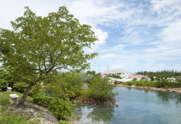 Parque Com Uma Lagoa Artificial Bairro Resort Cidade Nassau Bahamas — Fotografia de Stock