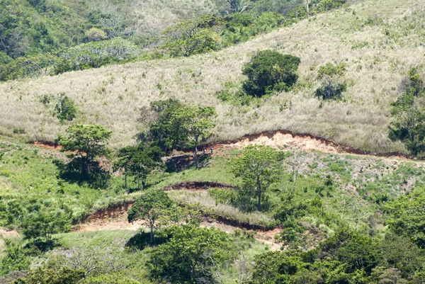 Vue Aérienne Paysage Vallonné Rural Sur Île Roatan Resort Honduras — Photo