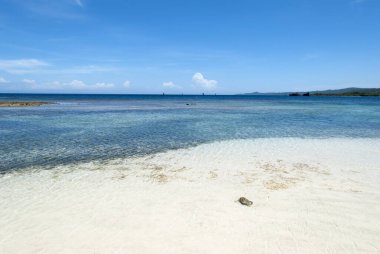 Roatan Adası 'ndaki (Honduras) boş Mahogany Körfezi sahilinin berrak suları).