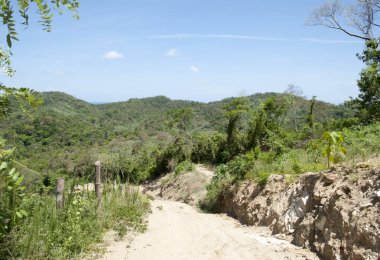 Arka planda tozlu bir yol ve tepelik Roatan adası manzarası (Honduras).