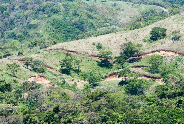 Vue Sur Paysage Vallonné Paysage Rural Sur Île Roatan Honduras — Photo