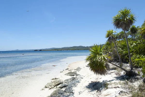 Пустой Пляж Залива Махогани Острове Роатан Гондурас — стоковое фото