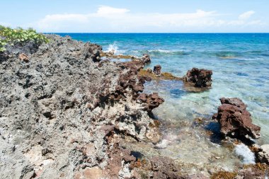 Roatan Adası 'nda (Honduras) erozyon altındaki kayalık kıyı).