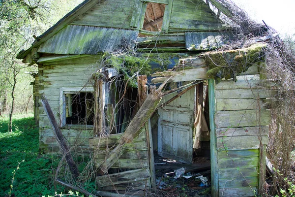 Casa Legno Una Foresta Abbandonata Crollata Sola Lituania — Foto Stock