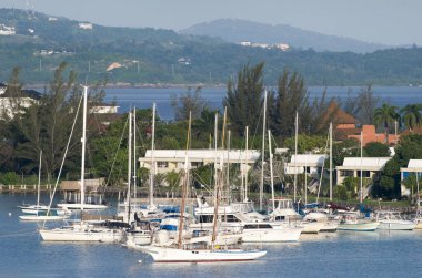 Montego Körfezi tatil beldesi marinasında yüzen yatların sabah görüntüsü (Jamaika).