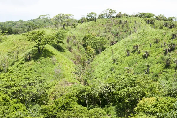 Paysage Rural Vallonné Sur Île Roatan Île Villégiature Honduras Dans — Photo