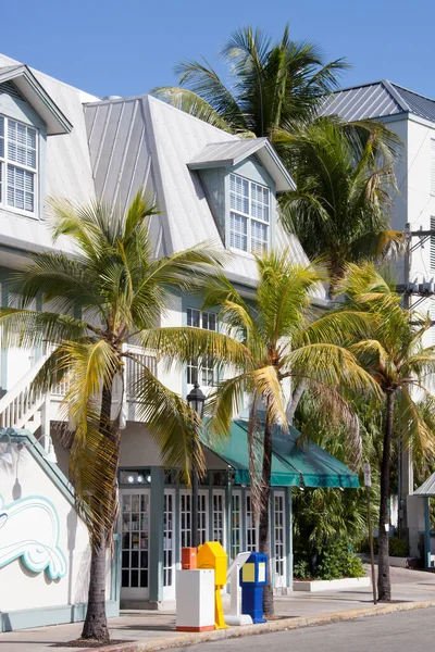 Key West Tatil Köyünde Palmiye Ağaçları Olan Güneşli Cadde Florida — Stok fotoğraf