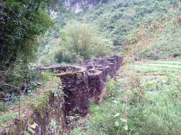 Uma Barragem Pedra Entre Árvores Bambu Floresta Lotes Montanha Grama — Fotografia de Stock