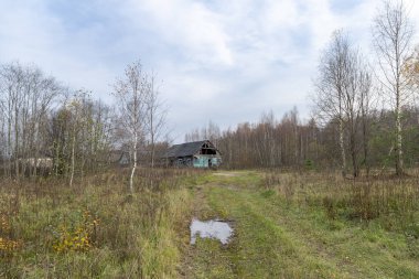 Köyde terk edilmiş eski bir ev yaprakları olmayan çıplak bir orman, kırsal bir yol, bulutlu bir gökyüzü. Sonbaharın sonlarında kırsal alan