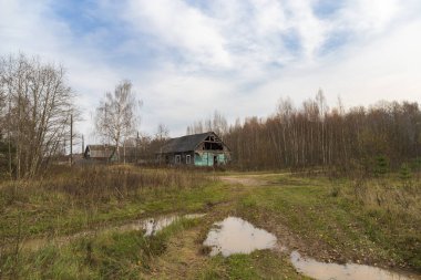 Kırsal sonbahar manzarası. Büyük su birikintileriyle çamurlu bir köy yolu terk edilmiş bir köy evi, çıplak ağaçlar, solmuş bitkiler..