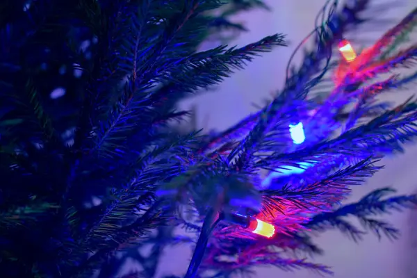 有花环灯的圣诞树枝 — 图库照片