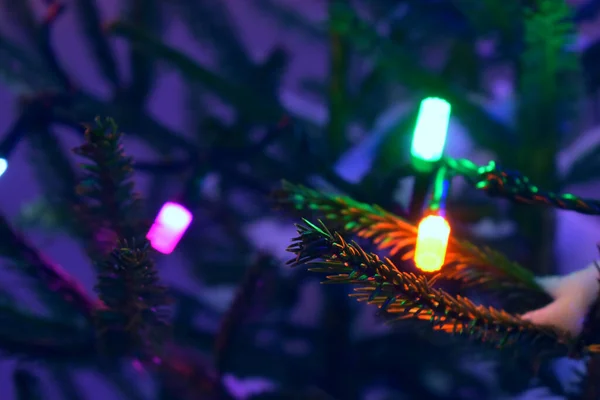 Vánoční Strom Větve Věnec Světla — Stock fotografie