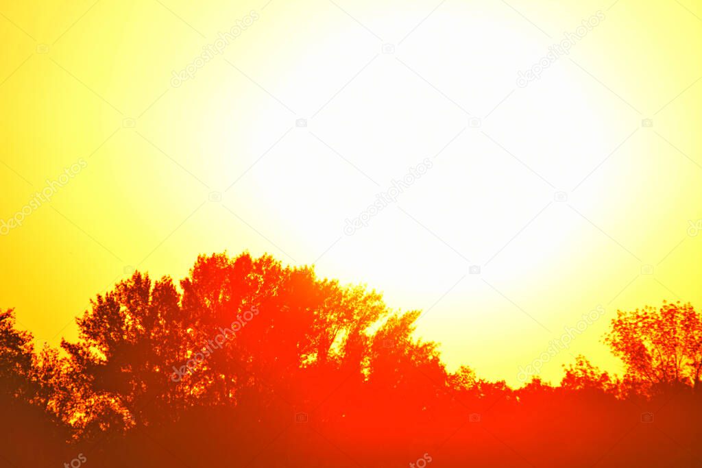 sunlight over tree silhouettes in red colors, blurred image, landscape