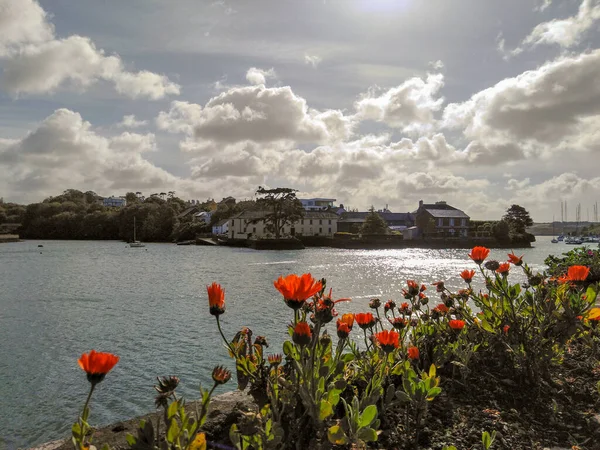 위풍당당 한색을 아일랜드 — 스톡 사진