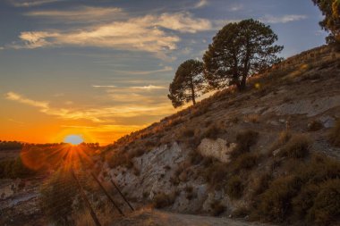 İki ağaçla dağlarda gün batımı.