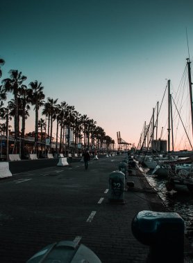 Malaga limanında palmiye ağacı silueti.