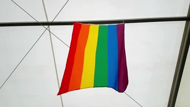 Gay Vlajka Mává Bílým Pozadím — Stock video