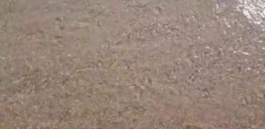 Deniz dalgası, deniz dalgası