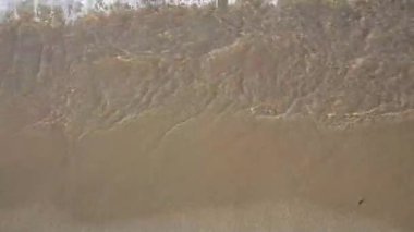 Deniz dalgası, deniz dalgası