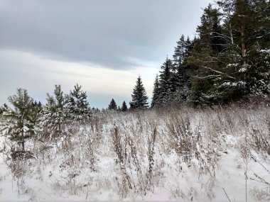 Ormanın yakınındaki güzel kış manzarası mavi gökyüzüne karşı.
