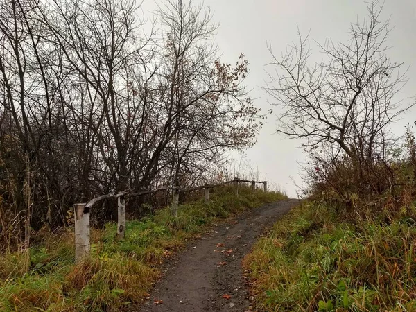 a path leading up among green grass and trees with a makeshift handrail made of branches and tree trunks