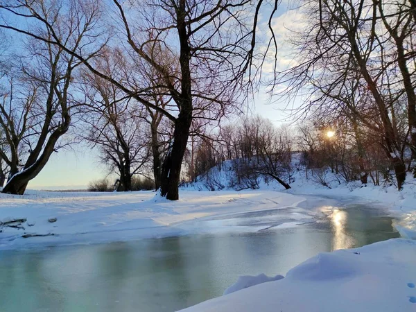 Sonniger Schneereicher Wintermorgen Zugefrorenen Fluss Zwischen Den Bäumen Durch Deren — Stockfoto